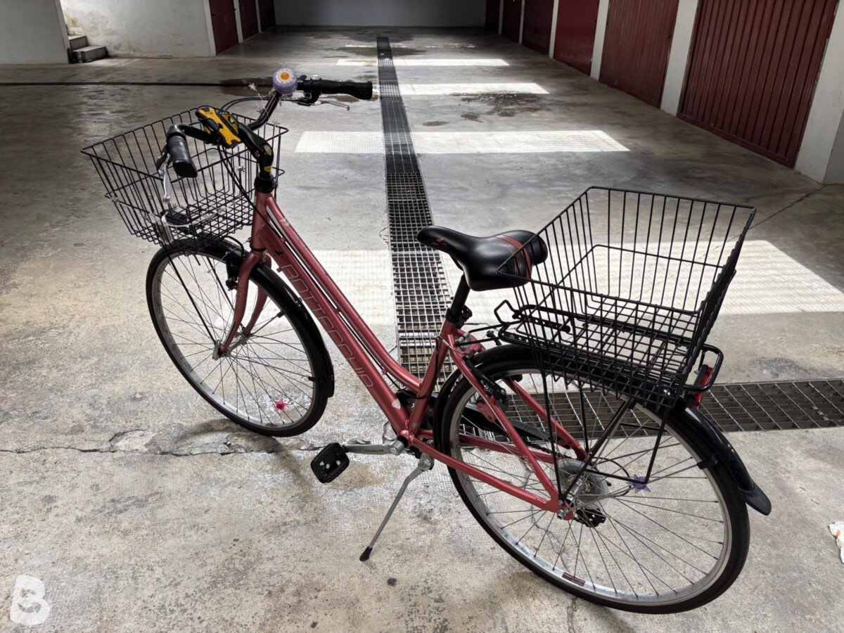 Bottecchia Natura verde 2021