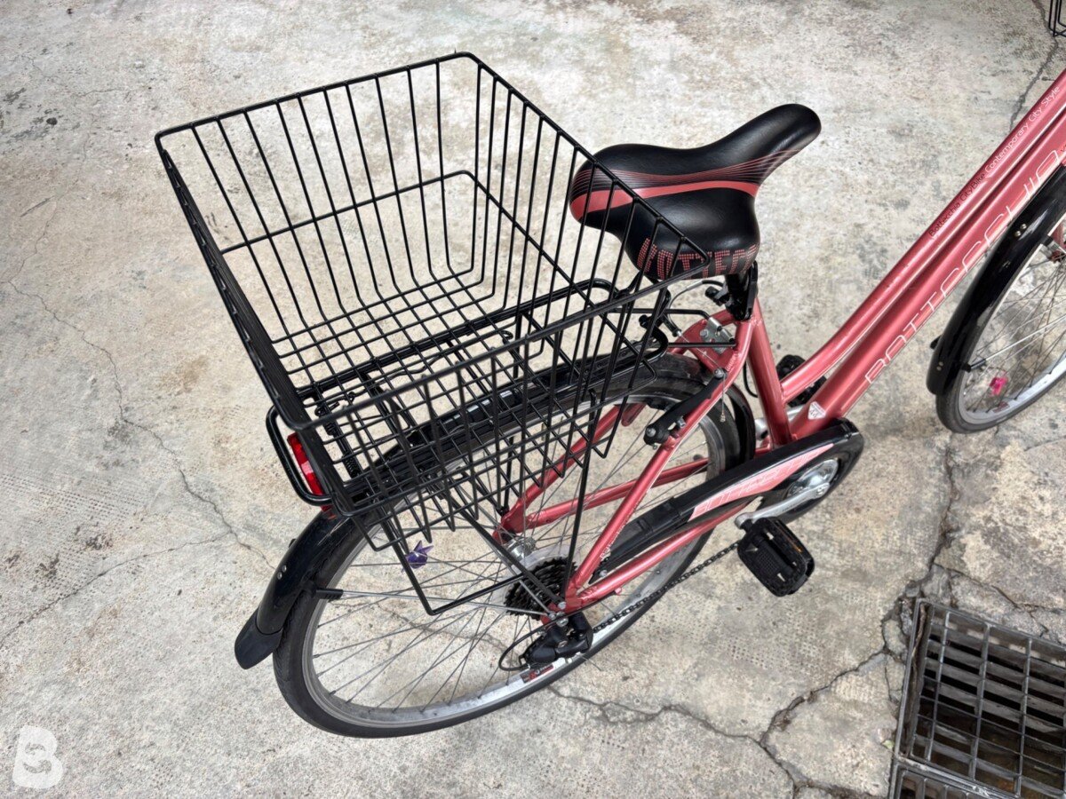 Bottecchia Natura verde 2021