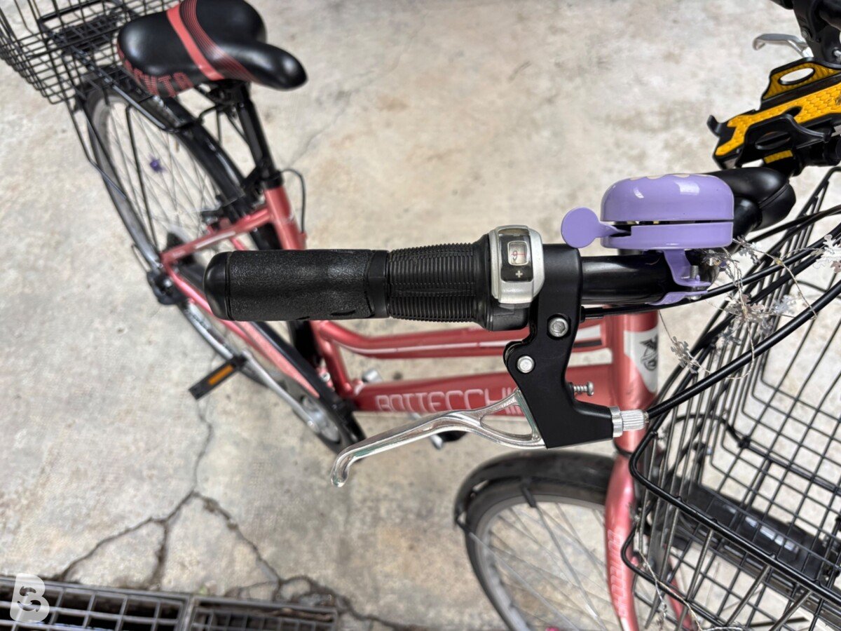 Bottecchia Natura verde 2021