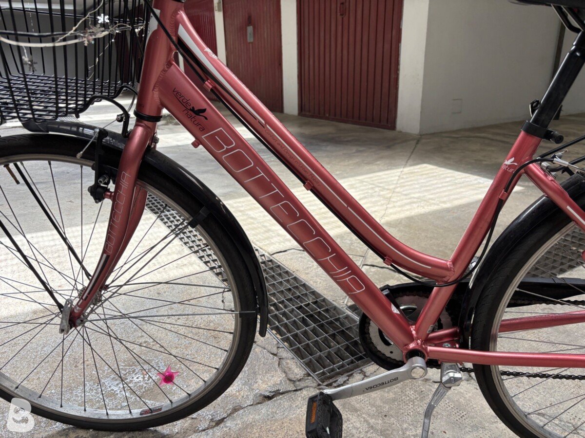 Bottecchia Natura verde 2021