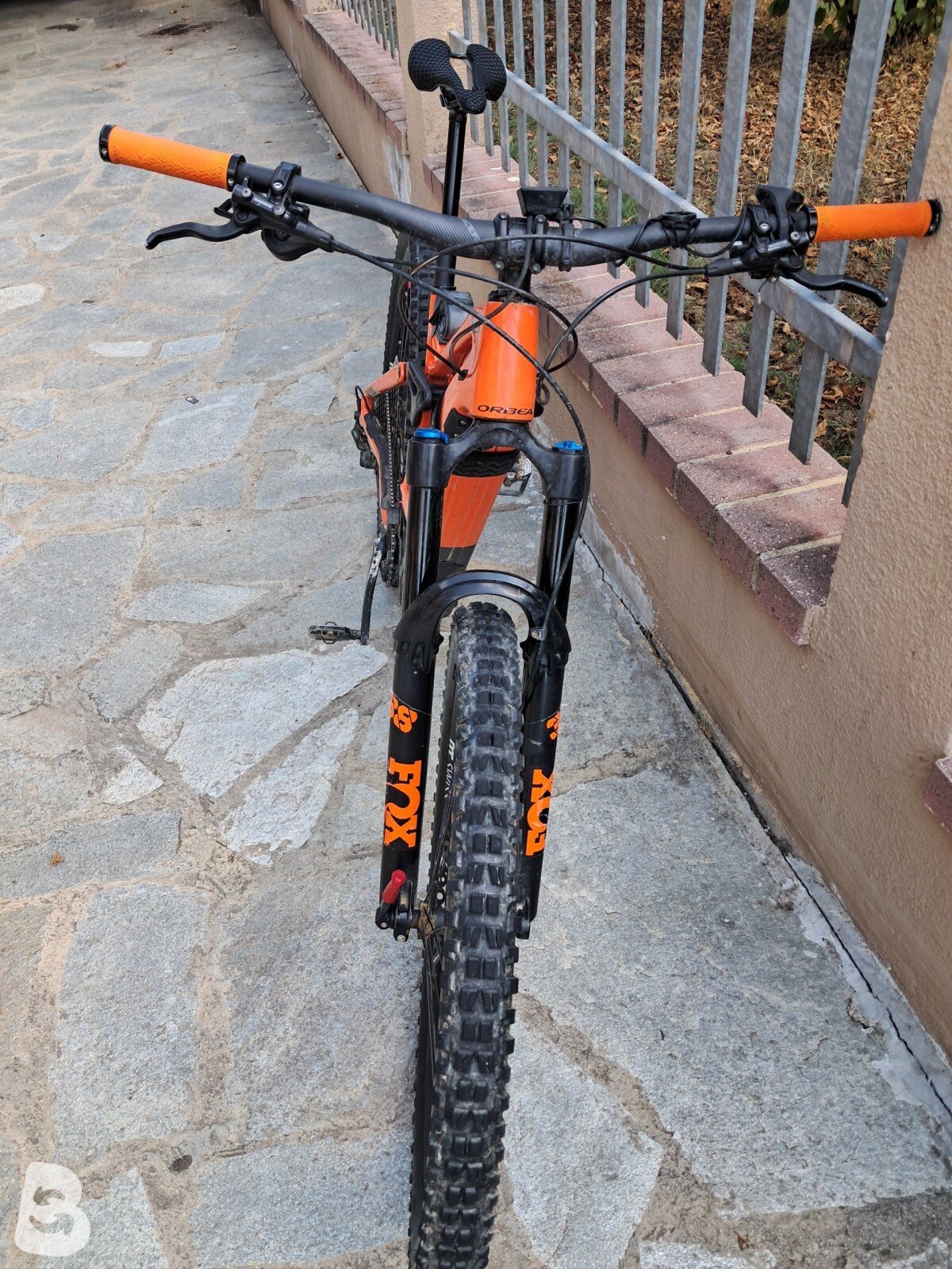 Orbea Wild 10 2022