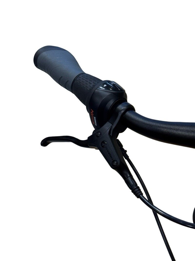 Winora Sinus R8 eco Shimano Nexus 2022