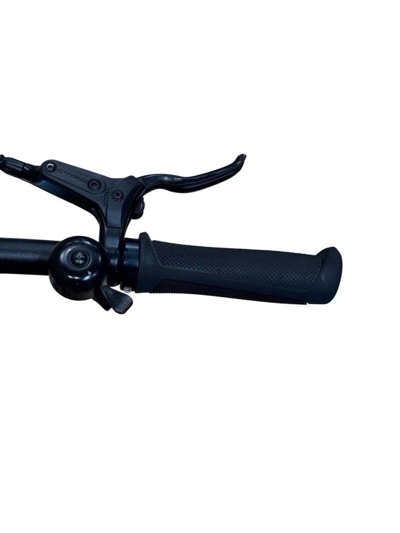 Tenways CGO600 Pro Single-Speed 2023