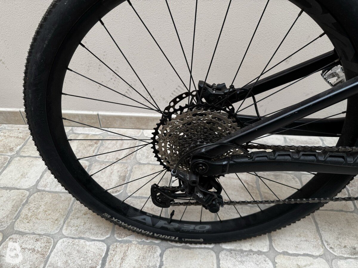 Orbea Rise LT H20 2025