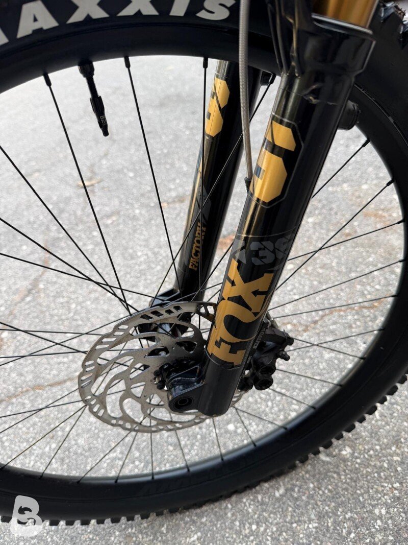 AMFLOW PL CARBON KASHIMA FOX custom 2026