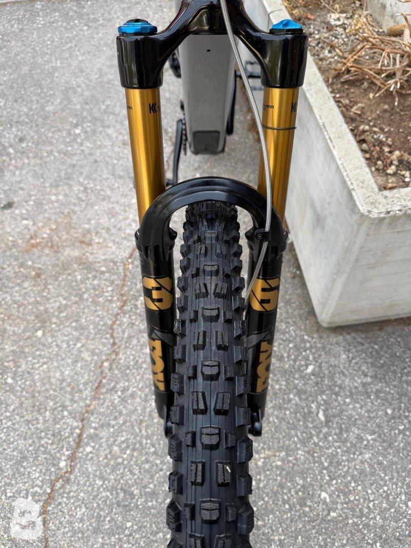 AMFLOW PL CARBON KASHIMA FOX custom 2026