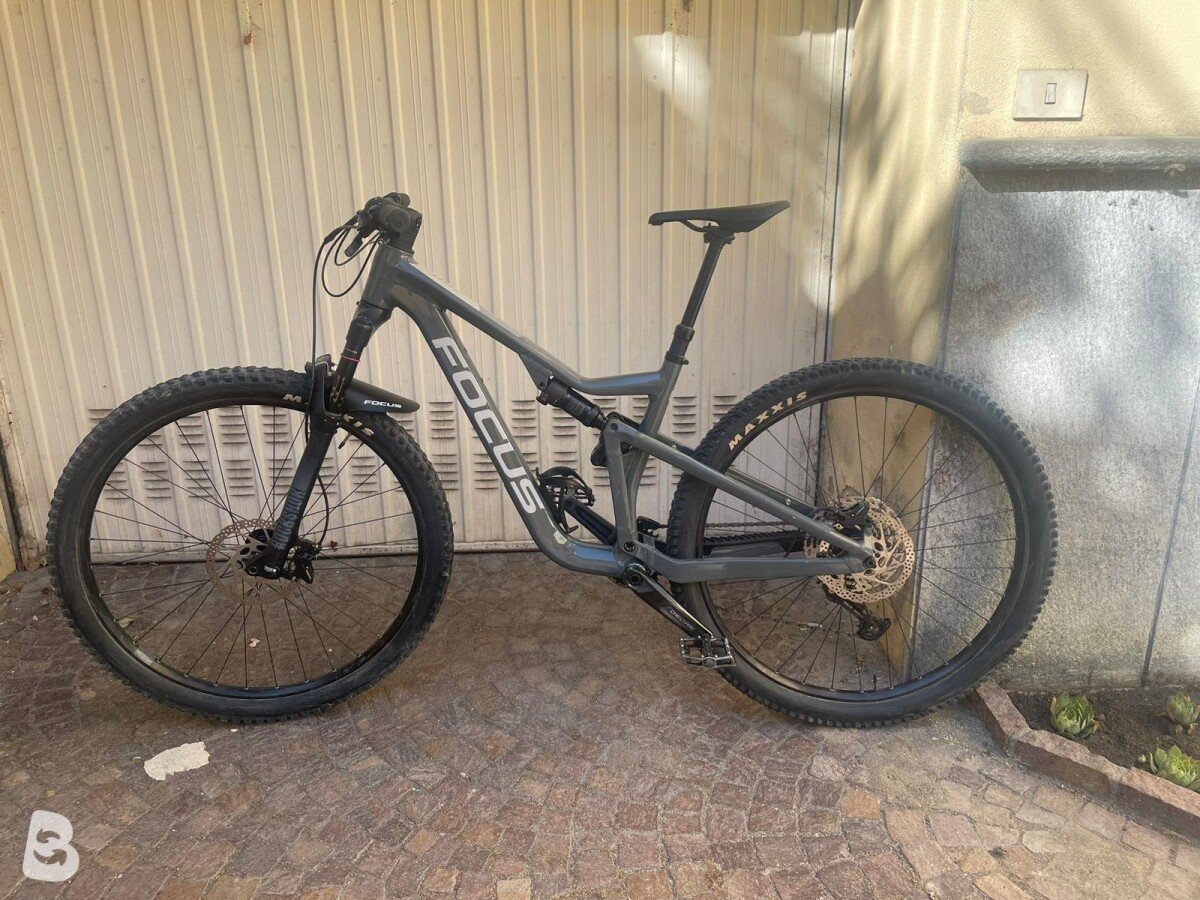 Focus THRON 6.8 2022