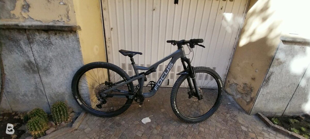 Focus THRON 6.8 2022