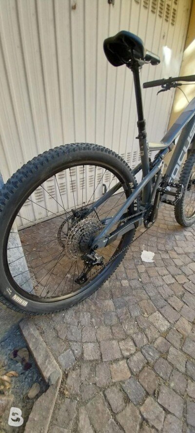 Focus THRON 6.8 2022