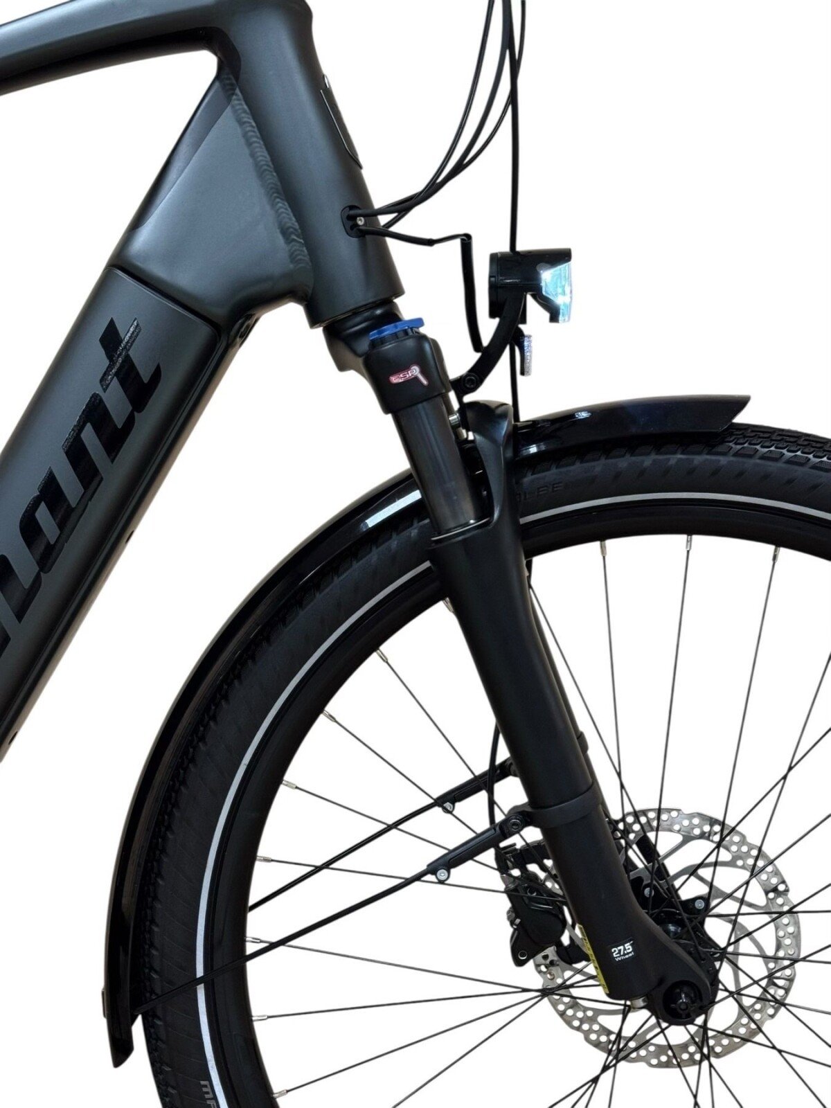 Diamant Opal+ Shimano Nexus 2022