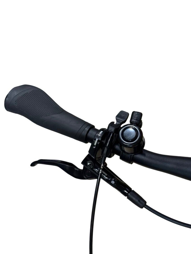 Bergamont E-Horizon Premium Pro Belt Enviolo 2024