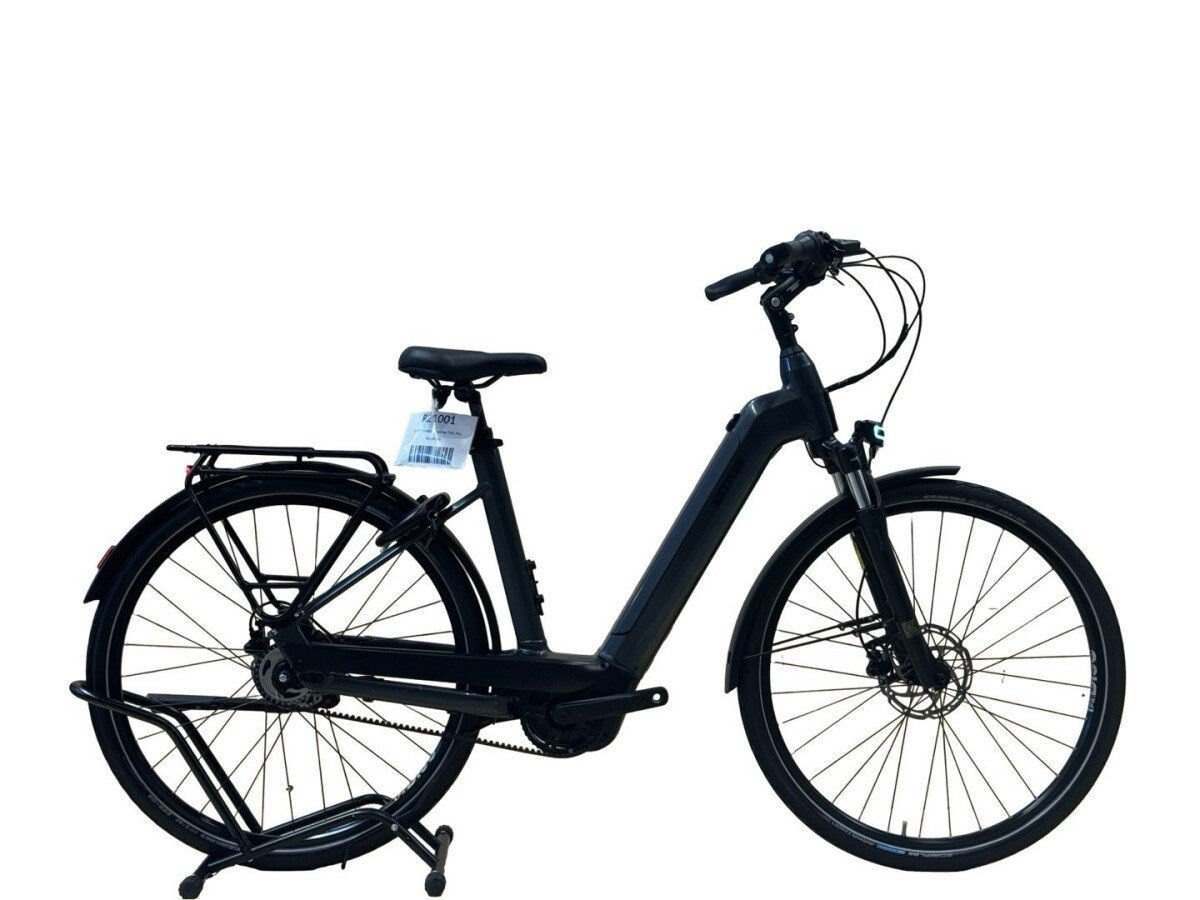 Kettler Quadriga T&C Pro Belt Shimano Nexus 2022