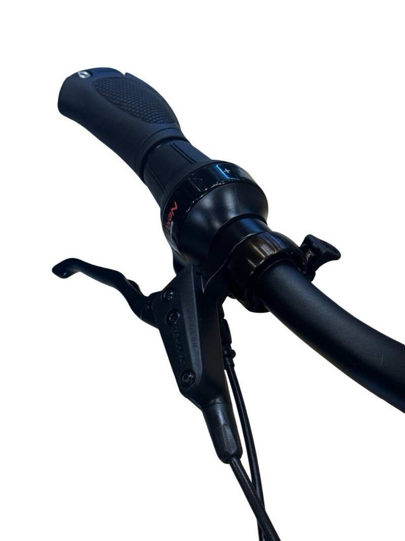Kettler Quadriga T&C Pro Belt Shimano Nexus 2022