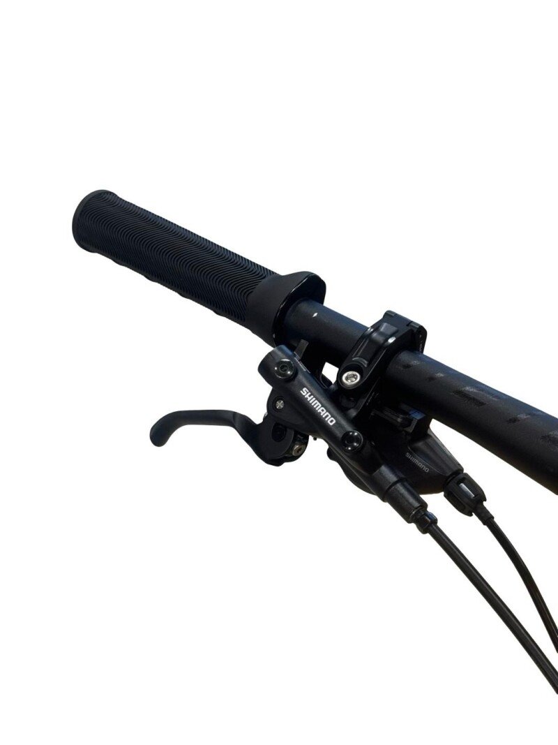 Giant Trance X Advanced E+ 1 Carbon Shimano XT 2022