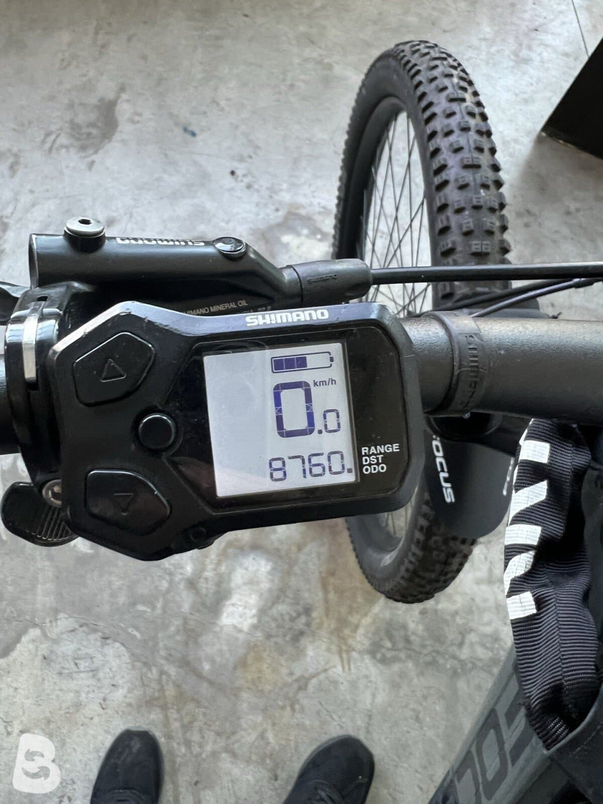 Focus JAM² 7.8 2024