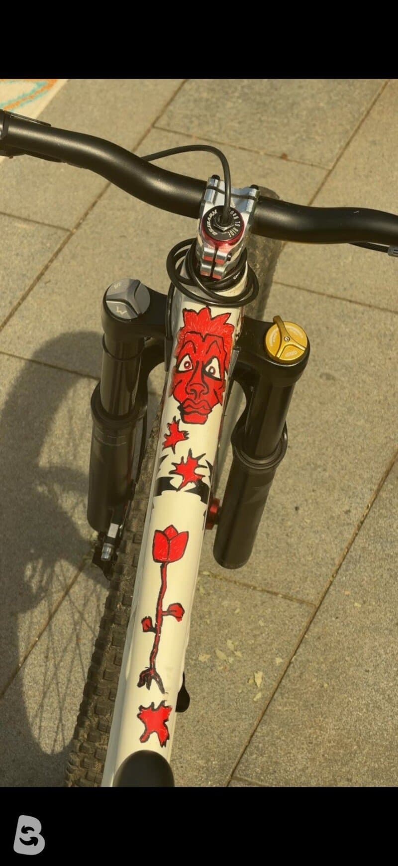 Rocky Mountain Slayer Alloy 30 Park 2021