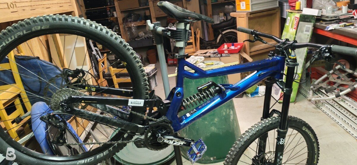 Bergamont Straitline 7 2020
