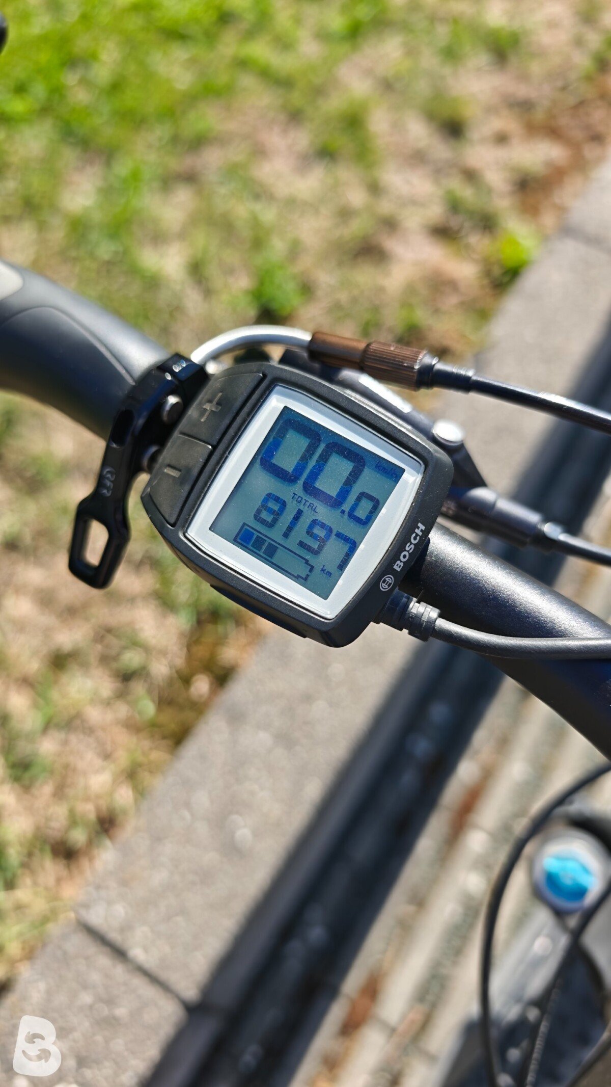 Cube Stereo Hybrid 120 Race 29 2017