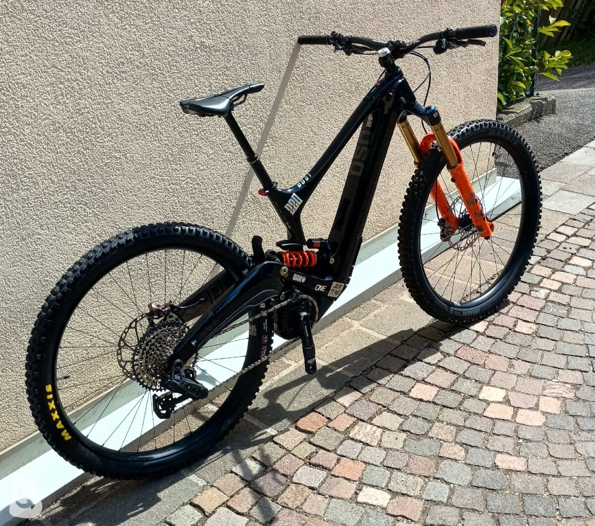 Ibis Oso 2025