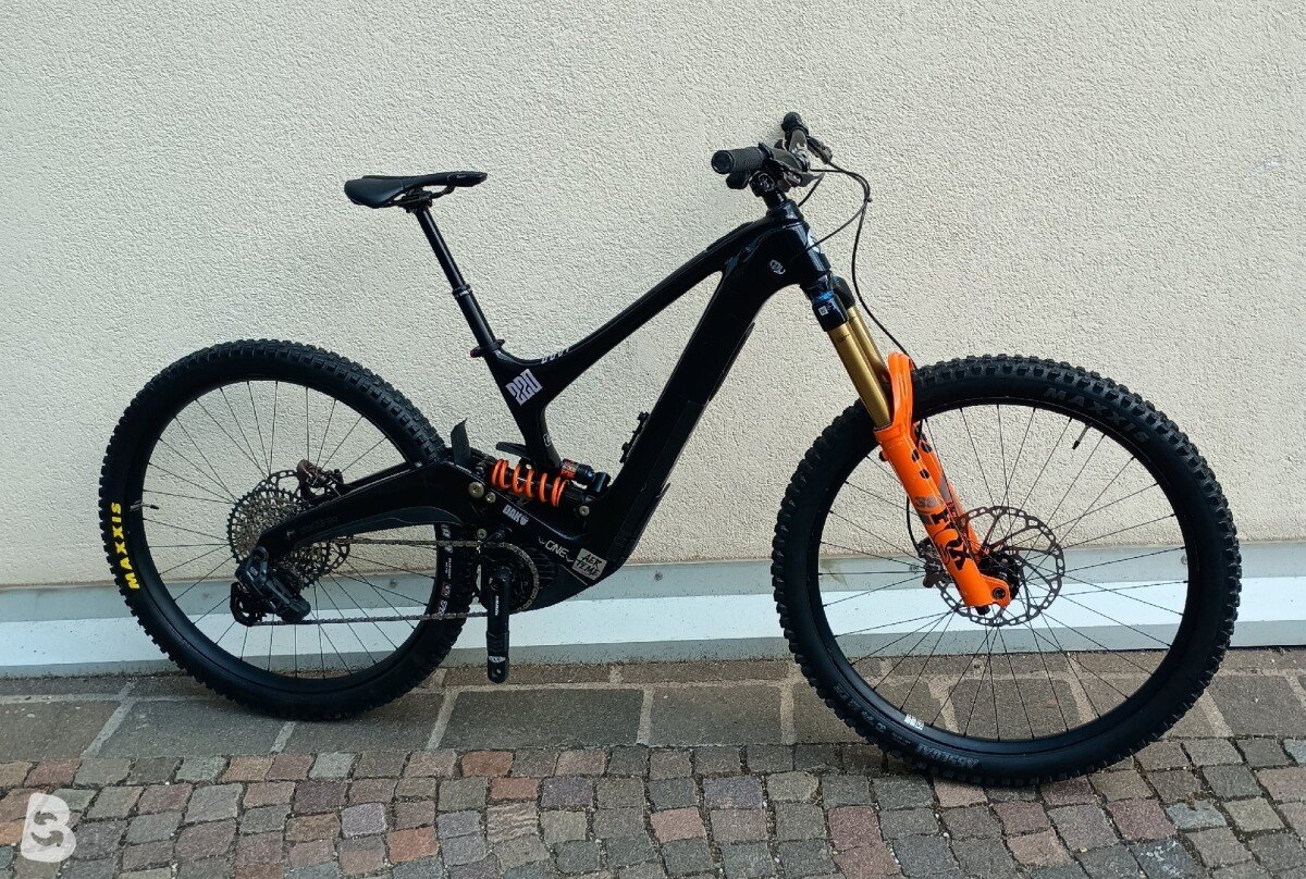 Ibis Oso 2025