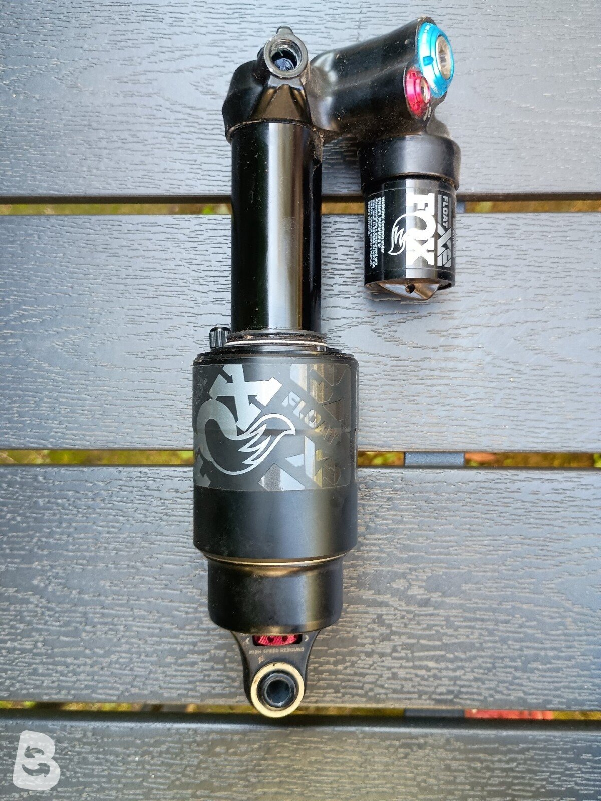 Ibis Oso 2025
