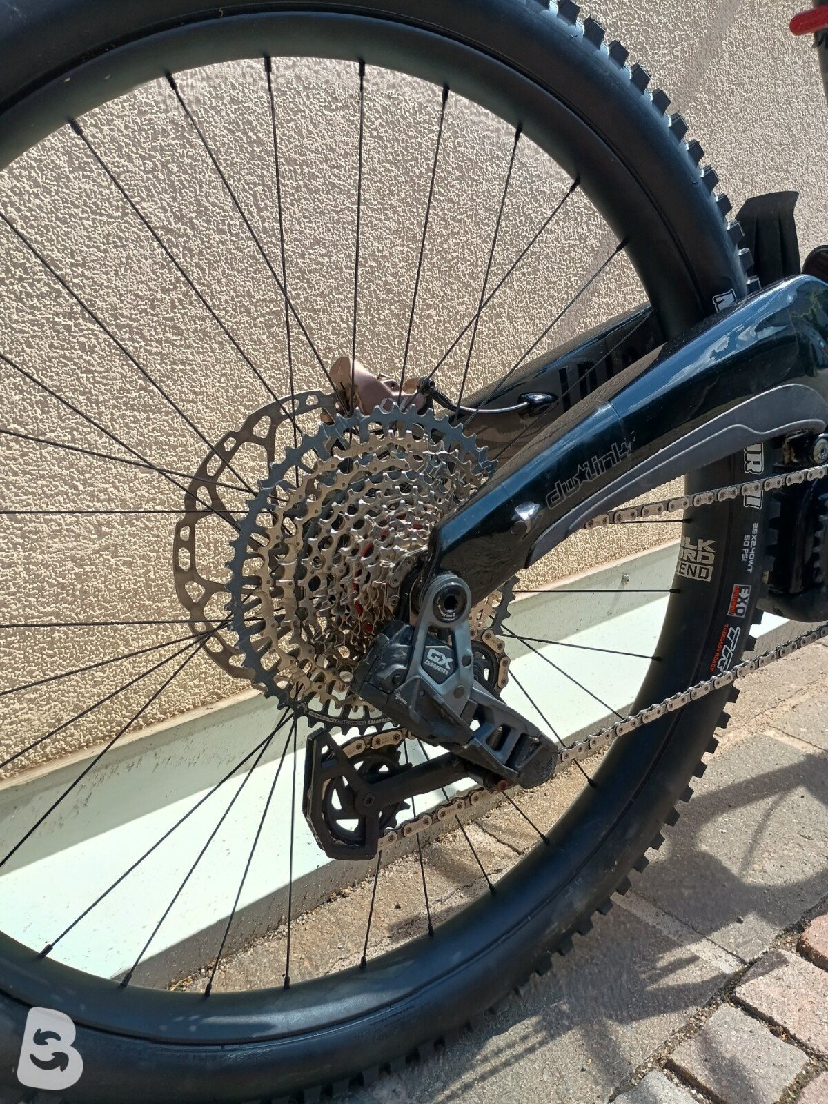 Ibis Oso 2025