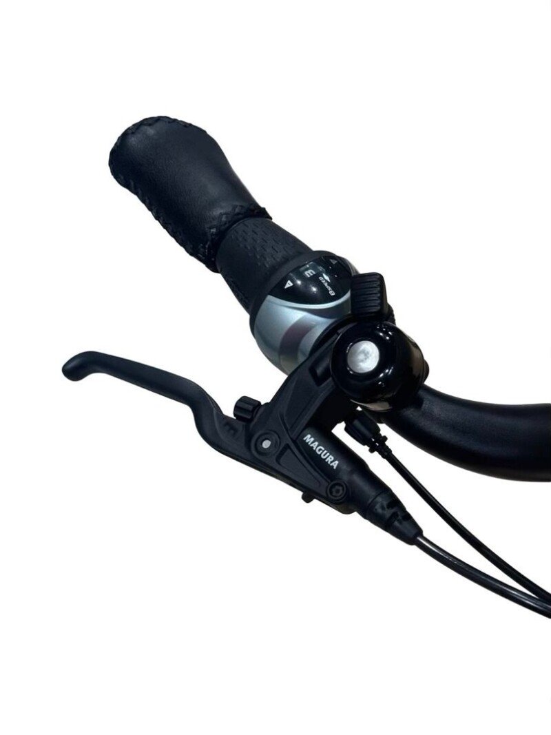 Riese & Müller Swing4 Silent Shimano Nexus 2024