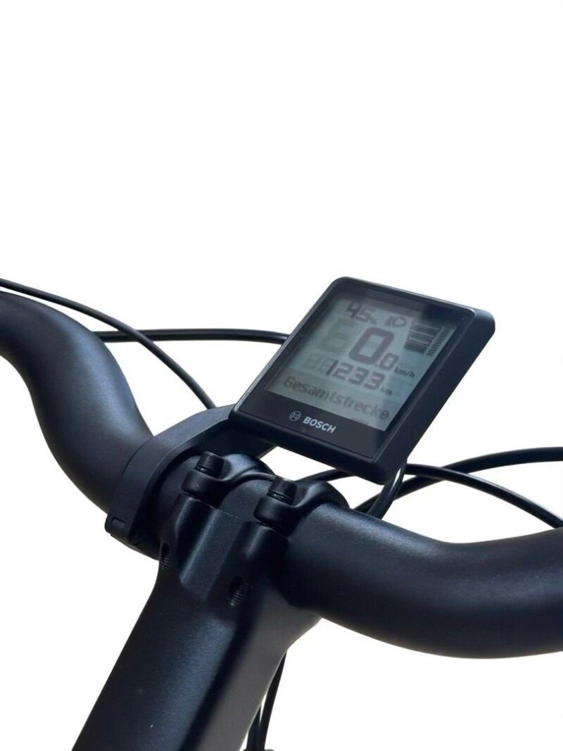 Riese & Müller Swing4 Silent Shimano Nexus 2024