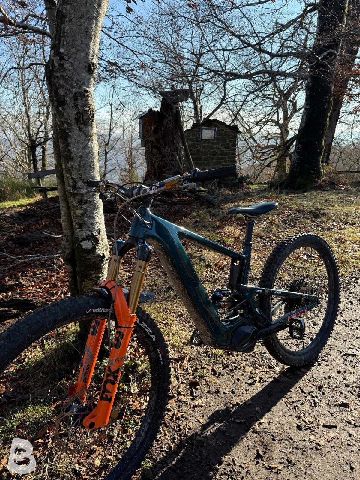 Santa Cruz BULLIT R / Carbon CC 2023