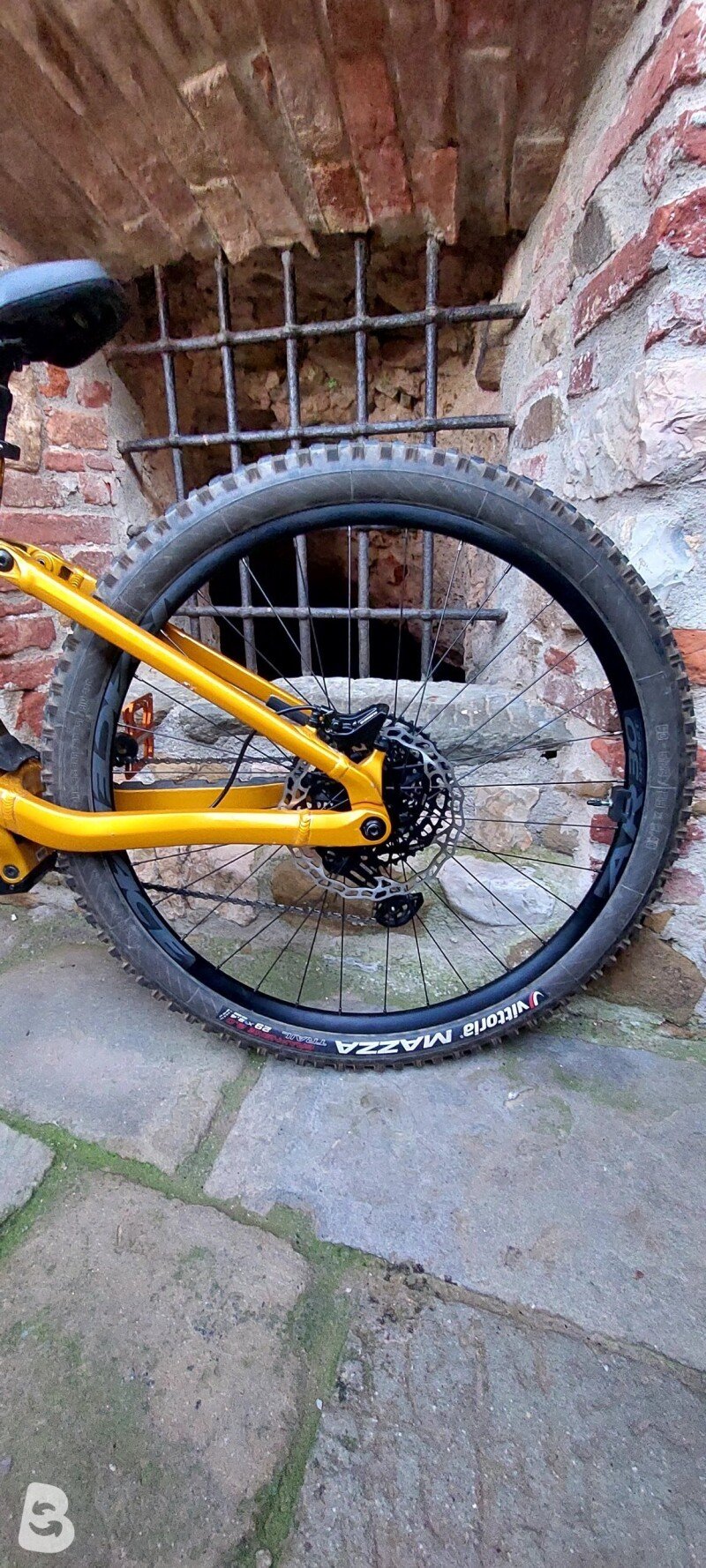 Orbea Wilde h20 2025