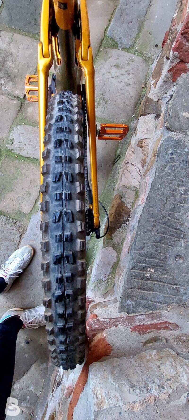 Orbea Wilde h20 2025