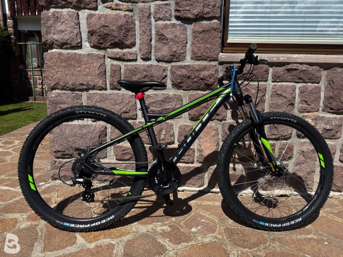 Bulls Sharptail 1 Disc 2020