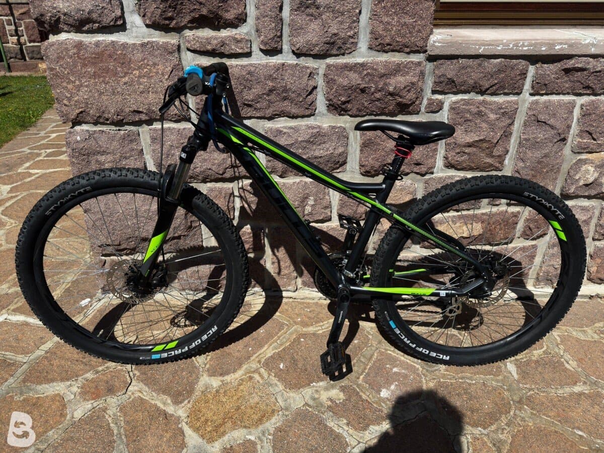 Bulls Sharptail 1 Disc 2020