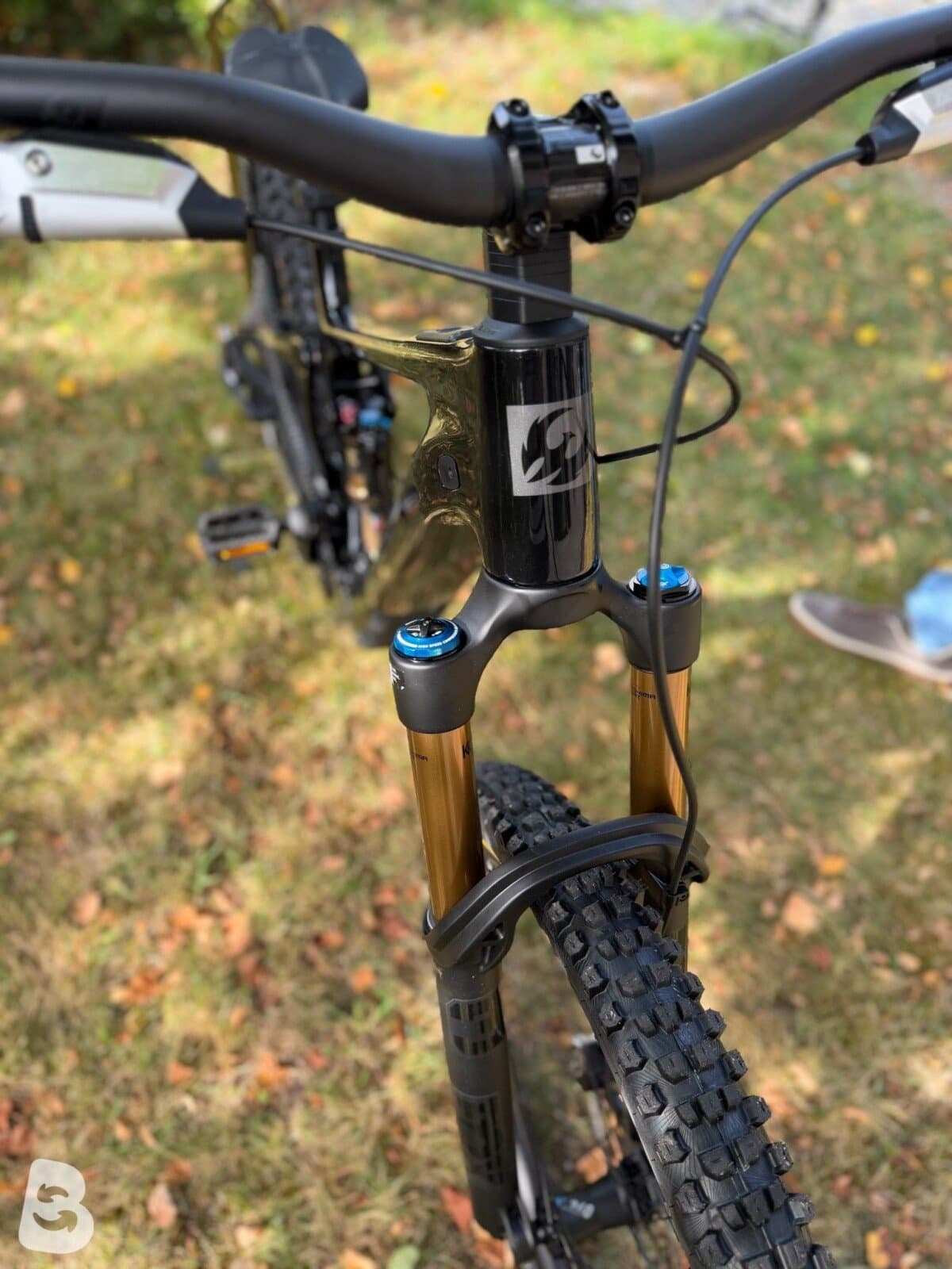 Pivot Shuttle AMP'd Team XX Eagle Transmission Gr. M 2026