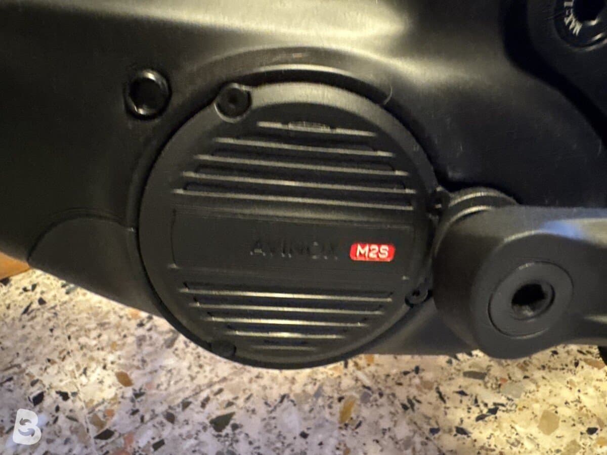 Whistle Axr C8.6 2026