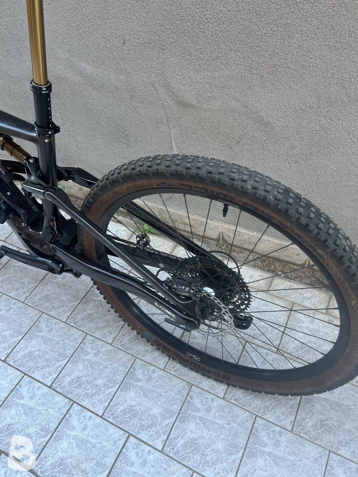 Orbea Rise 2025
