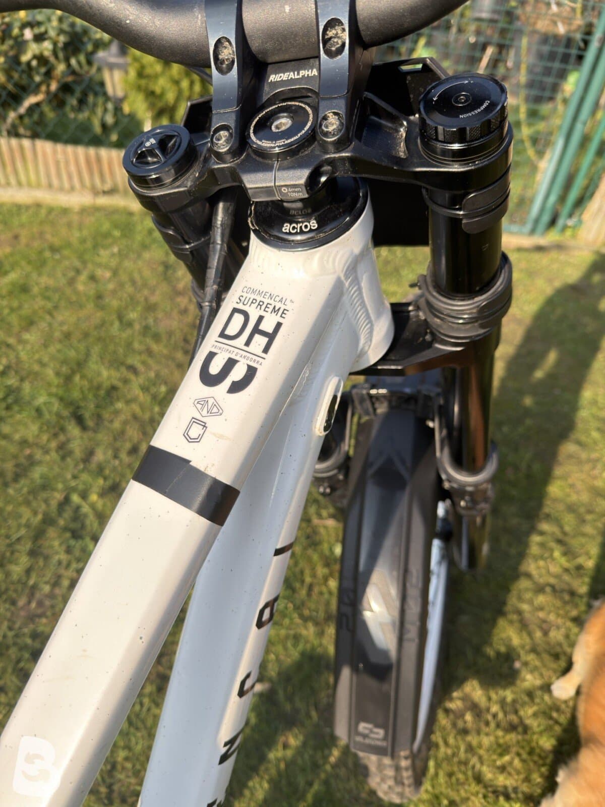 Commencal SUPREME DH V5 RIDE NEW ROCKSHOX 2025