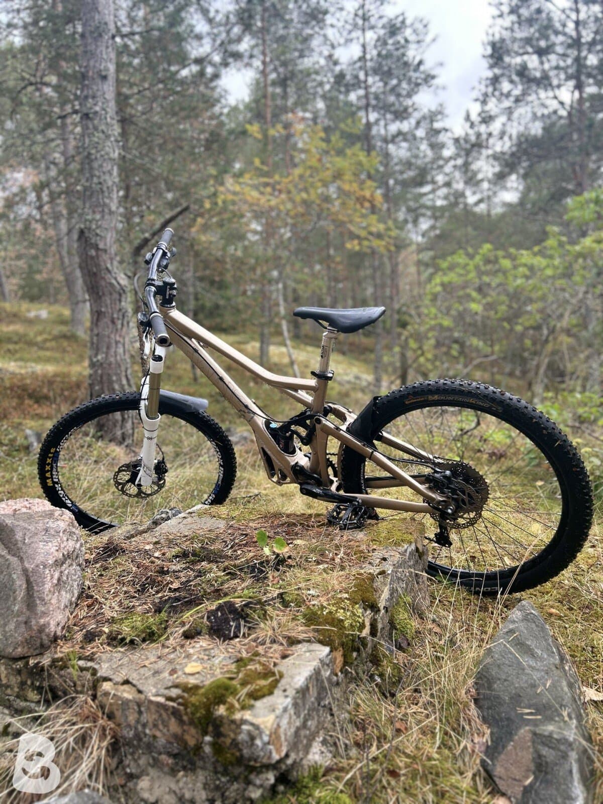 Giant Reign X2 2010