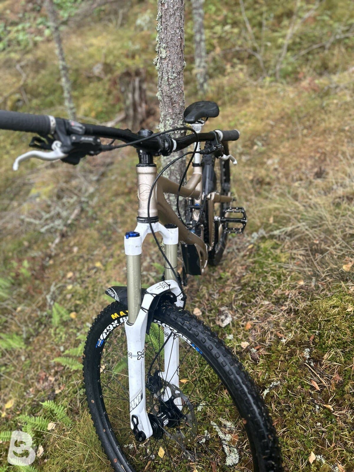 Giant Reign X2 2010