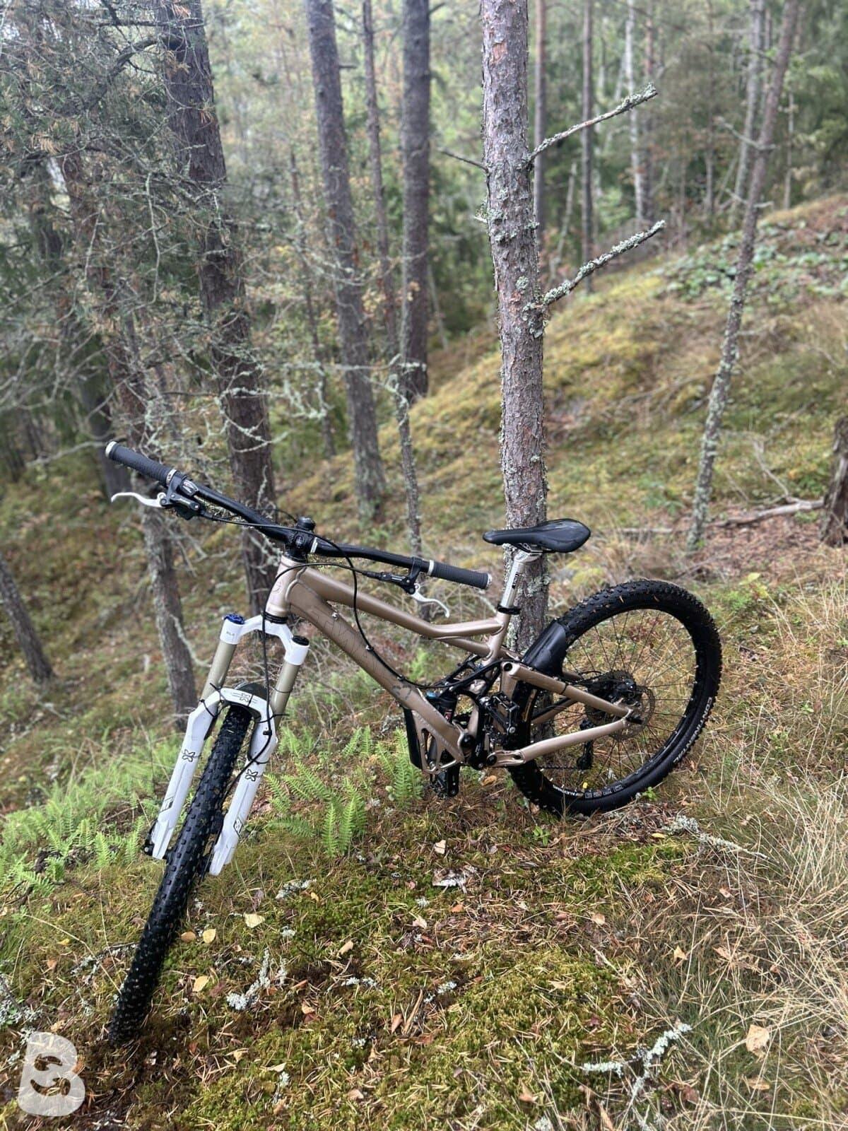Giant Reign X2 2010