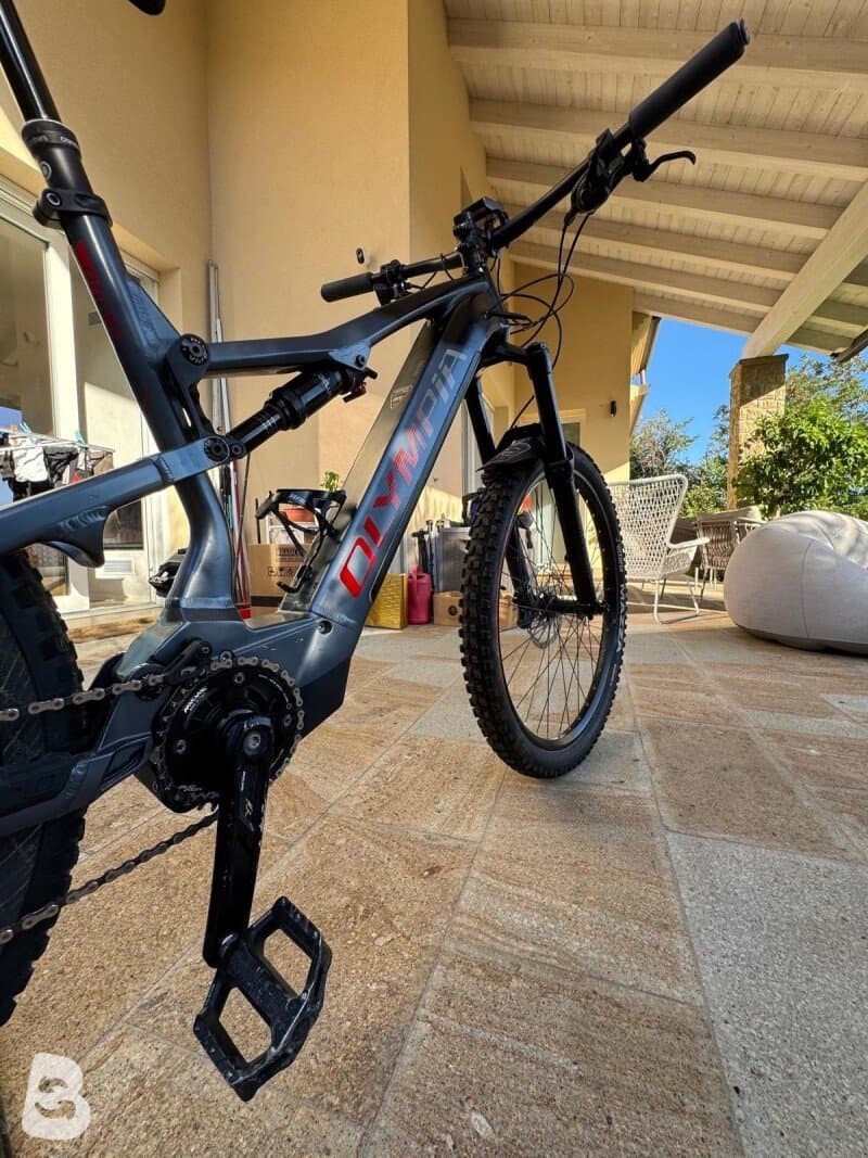 Olympia Ex 900 Sport 2022
