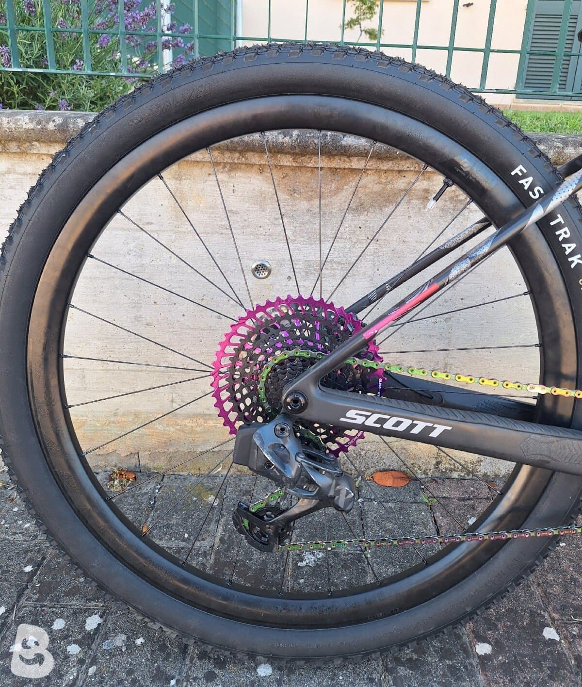 Scott Scale RC World Cup EVO 2024