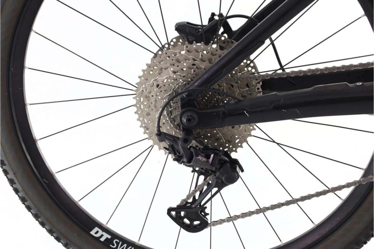 Orbea Wild XT 2022