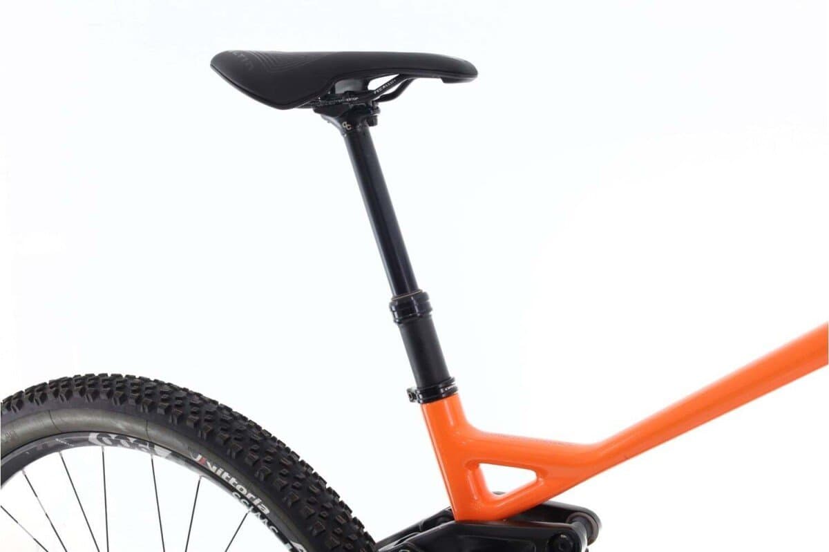 Orbea Wild XT 2022