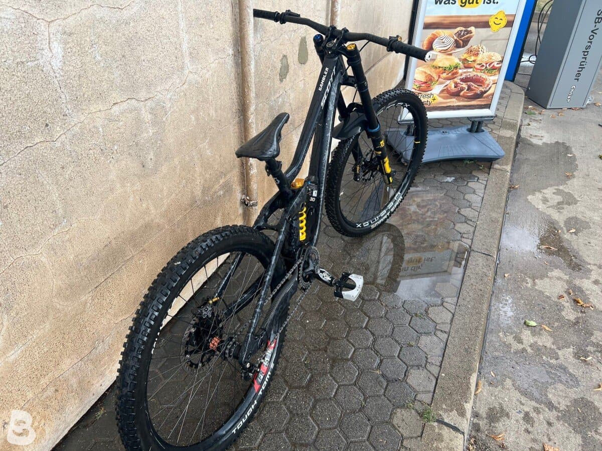 Scott Gambler 910 2023