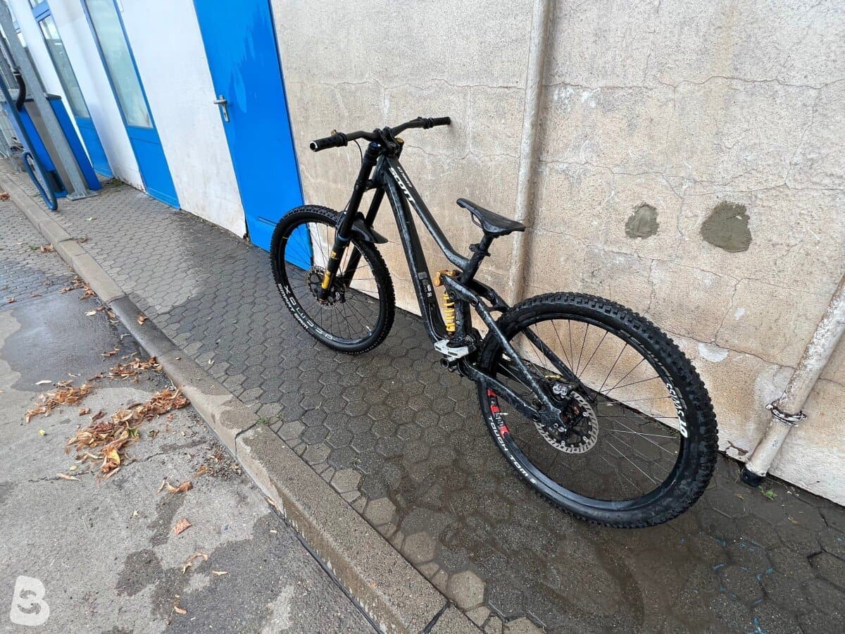 Scott Gambler 910 2023