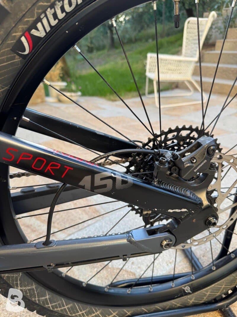 Olympia Ex 900 Sport 2022