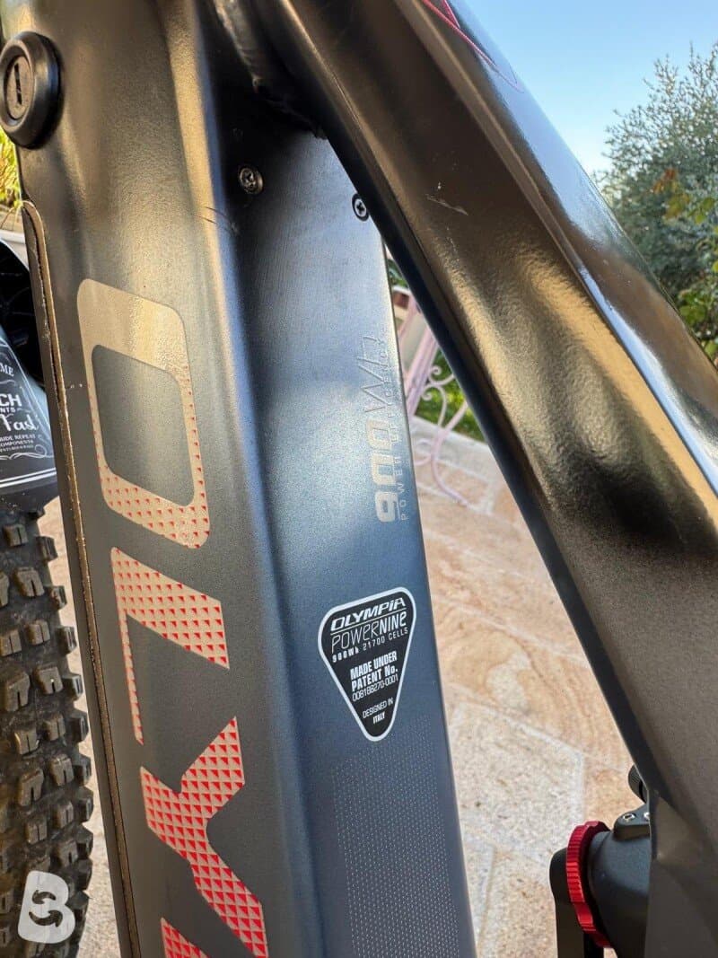Olympia Ex 900 Sport 2022