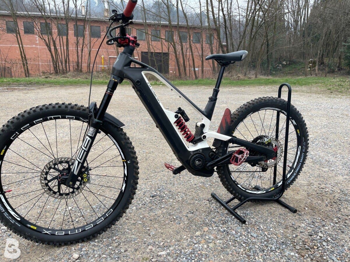 Olympia Hammer 2023