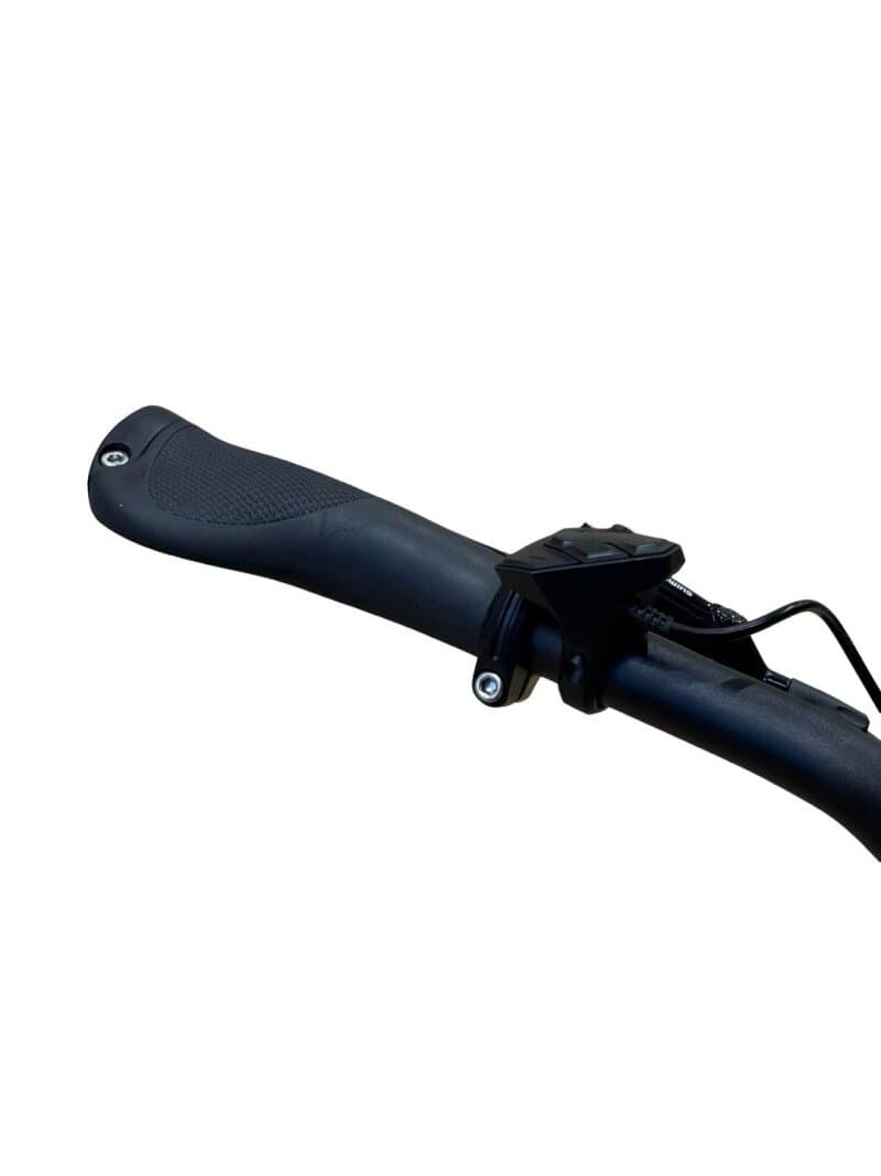 Bergamont E-Horizon Pro Belt Enviolo 2021